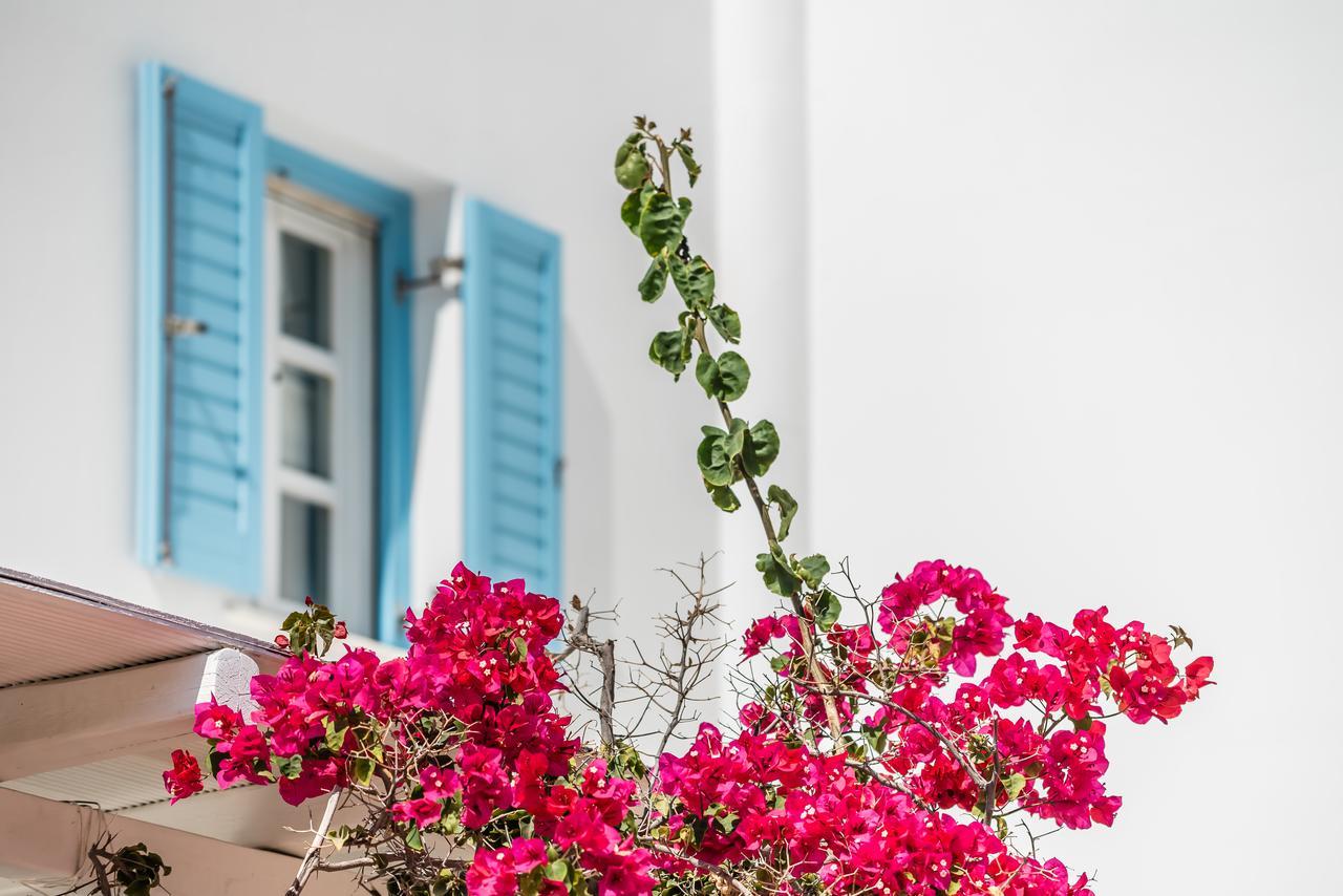 Capo Di Mykonos Resort Agios Ioannis Diakoftis エクステリア 写真