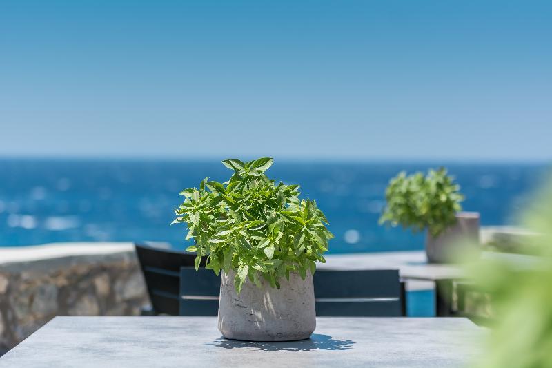 Capo Di Mykonos Resort Agios Ioannis Diakoftis エクステリア 写真